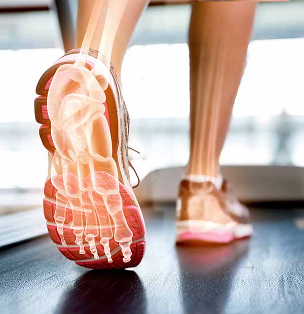 Foot Biomechanics and Orthotics Issues